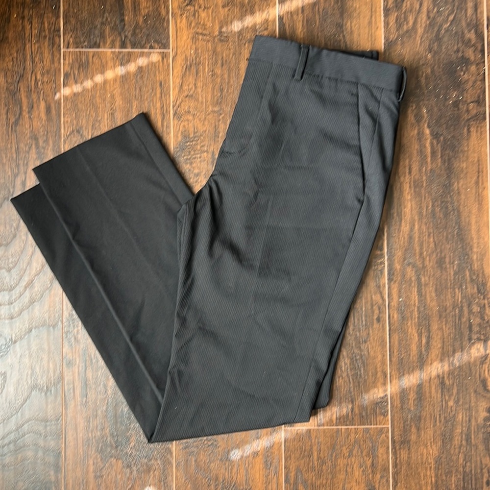 Express Photographer Dress Pants